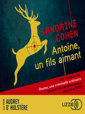 cover image of Antoine, un fils aimant--Après Rosine, une criminelle ordinaire, découvrez le nouveau roman de Sandrine Cohen